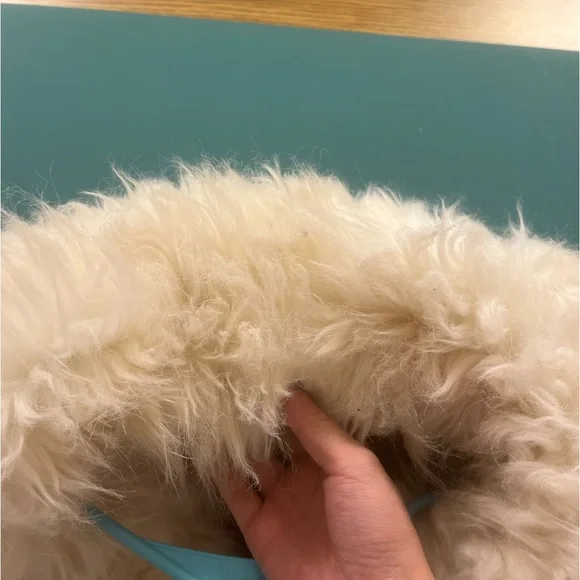 *SOLD ON EBAY* AZALEA WANG HOUNDSTOOTH JACKET - Picture 6 of 12